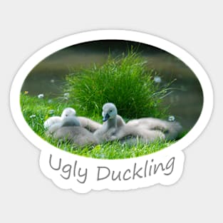 Ugly Duckling Sticker